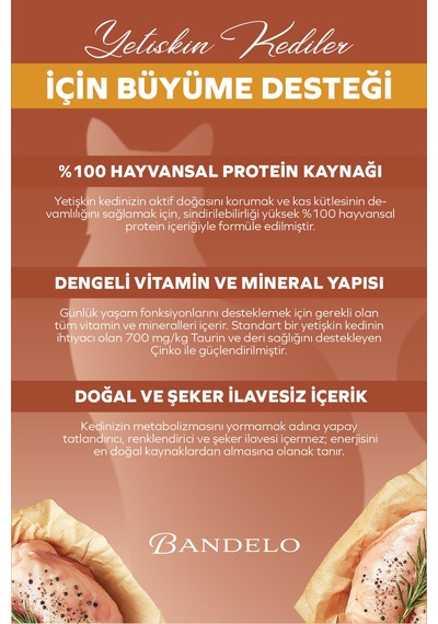 Tavuklu Yetişkin Yaş Konserve Kedi Maması - %100 Hayvansal Protein Jöleli Parça Etli, 400gr X 12 Adet