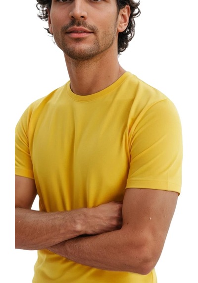 Arma Ar-ma Erkek Bisiklet Yaka Tişört Baskisiz Basic Örme Kumaş Regular Fit %100 Pamuk 30/1 Penye Süprem Y31344408202 Sarı-s1