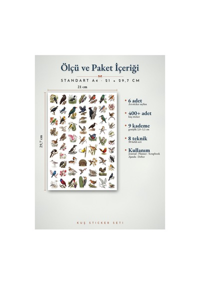 Kuş Sticker Seti 400+ Adet 9 Farklı Boy Vintage Doğa Tarihi Çizim Ajanda Planner Journal A4 Çok Renkli