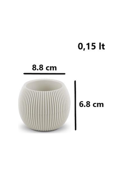 Omnipazar Krs Mercan Dekoratif Sukulent Kaktüs Plastik Saksı Takımı 3'lü Set Bej