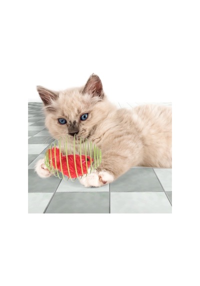 Yusa Stores Yaylı Metal Fareli Kafes Kedi Oyun Topu Sıçrayan Spiral Kedi Topu