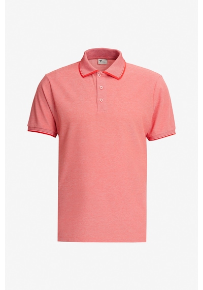 AC&Co / Altınyıldız Classics Erkek Kıremıt-Nar Cıcegı-Mor Çekmeyen Pamuklu Kumaş Slim Fit Dar Kesim 3 'Lü Kıvrılmaz Polo Yaka Tişört Çok Renkli AC&Co / Altınyıldız Classics Erkek Kıremıt-Nar Cıcegı-Mor Çekmeyen Pamuklu Kumaş Slim Fit Dar Kesim 3 'Lü Kıvrılmaz Polo Yaka Tişört Çok Renkli