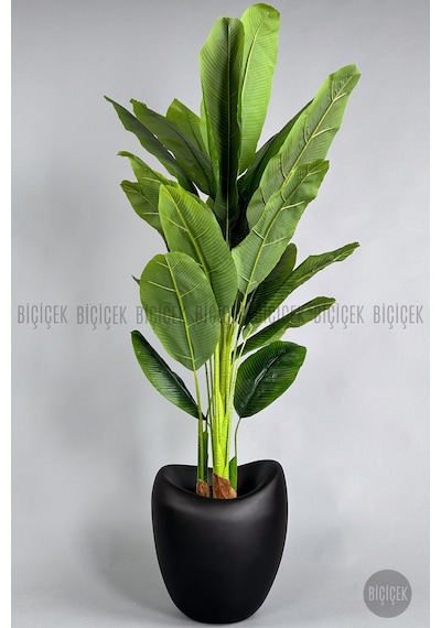Biçiçek Yapay Muz Ağaci 210 Cm 4 Gövdeli̇ 21 Yaprak Mocha Lale Saksıda