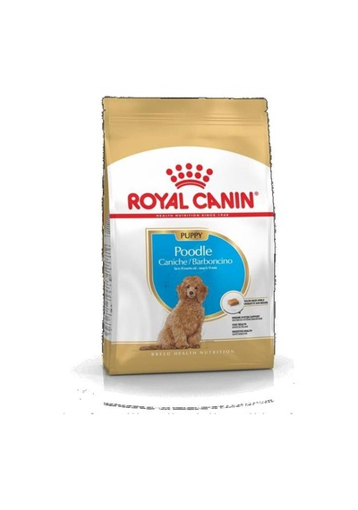 Royal Canin  Poodle Junior Yavru Köpek Maması 3 Kg