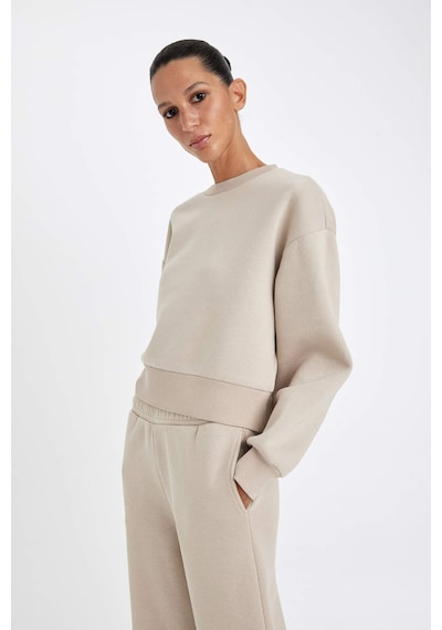 Defacto Boxy Fit Bisiklet Yaka Kalın Basic Düz Sweatshirt B8568AX24WNBG187 Bej
