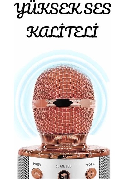 Şarjlı Uzun Pil Ömürlü Karaoke Mikrofon Usb Bellek Destekli, Profesyonel Ses