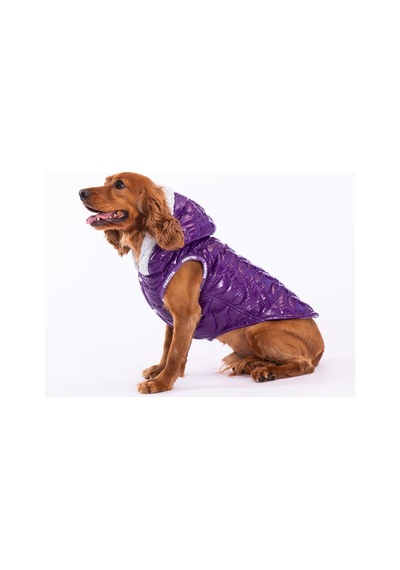 Pawstar Mor Light Wave Anorak Yelek Köpek Yeleği
