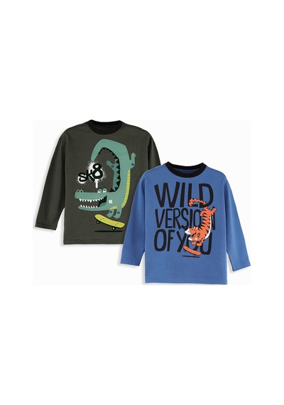 Denokids Skate Erkek Çocuk 2'li Paket T-shirt Renkli
