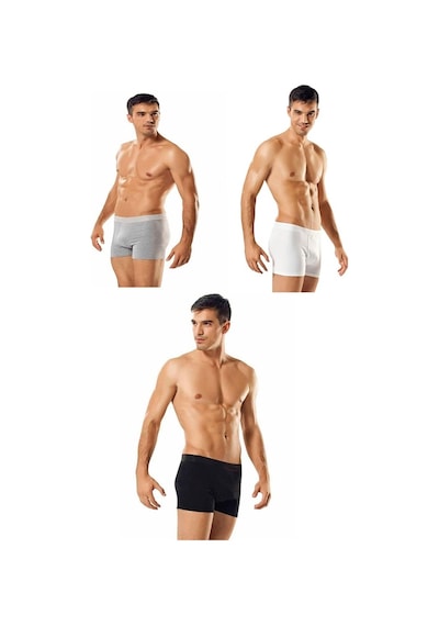 Tutku Iç Giyim Pamuklu Likralı Erkek Boxer Boxer 3 Lü Paket (239376416)