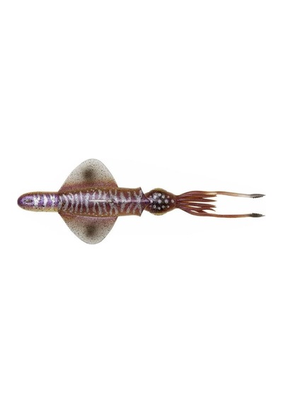 Savage Gear Swim Squid Rtf 25cm 160gr Silikon Yem Renk : Cuttlefish
