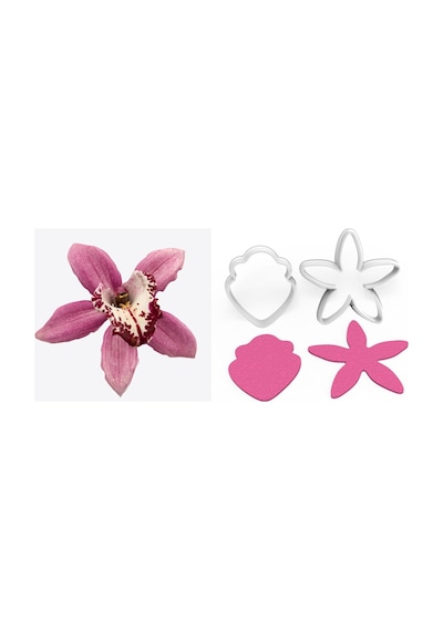 Simbidyum Orkide Yapım Kesici Set 2 Parça
