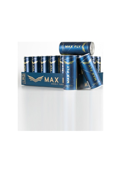 Max Fly Enerji İçeceği 250 Ml 24 Adet