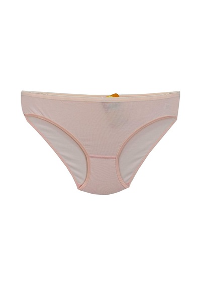 Kadın Bikini Külot Mikro Modal Bgl St01312 001