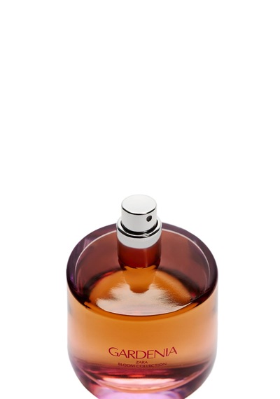 Zara Gardenıa Edp 90 Ml 3.04 Fl. Oz Parfüm Amber