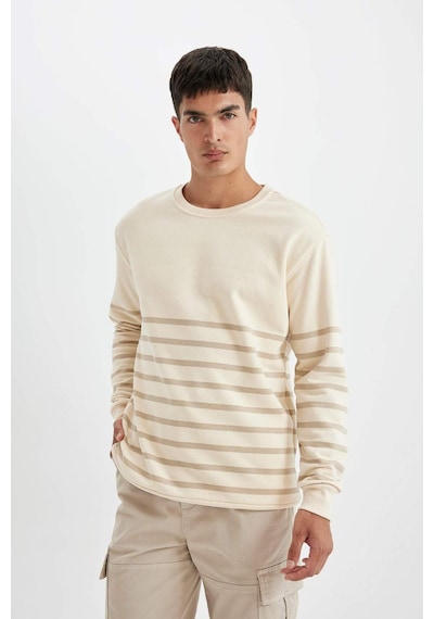 DeFacto Comfort Regular Fit Rahat Kalıp Bisiklet Yaka Çizgili Kalın Sweatshirt D2397AX24AUER42