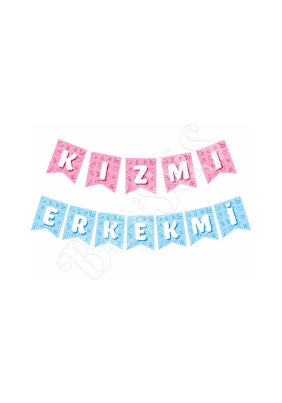 Kız Mı Erkek Mi Banner Pembemavi Çok Renkli