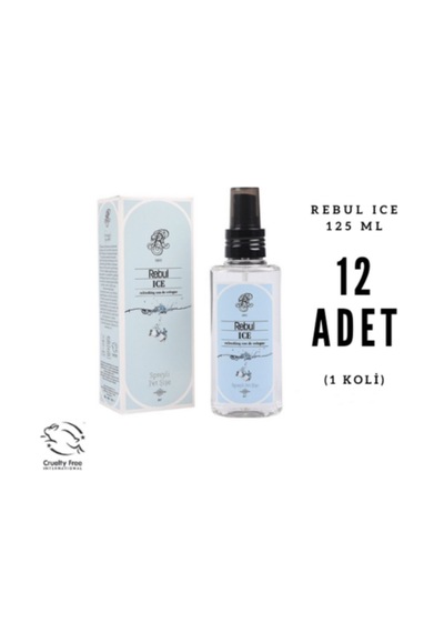 Rebul 80 Derece Ice Sprey Kolonya 12 x 125 ML