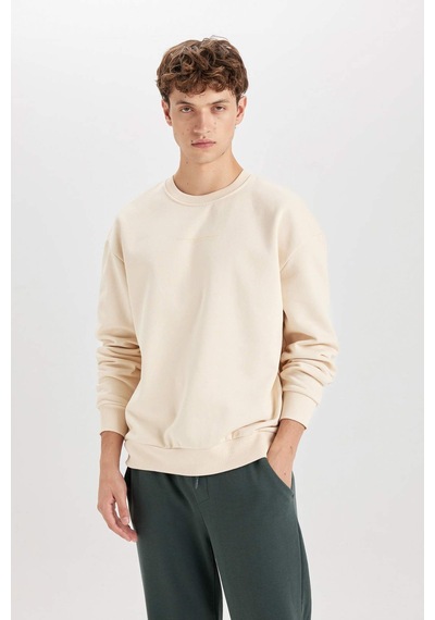 DeFacto Boxy Fit Bisiklet Yaka Baskılı Sweatshirt X8282AZ24AUBG700 Bej