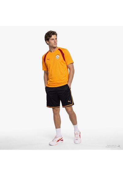 Puma Galatasaray 26/27 Erkek Sarı Antrenman Forma 786805 Siyah