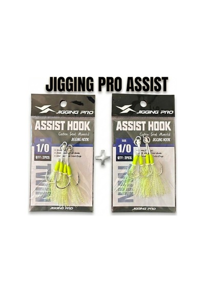 Jig Assist Hook 1/0 İkili Set