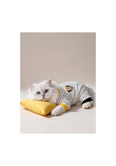 Spotty Sunny Minny Kedi Uyku Seti Siyah Beyaz Puantiyeli Penye Kedi Tulumu Ve Mini Yastık