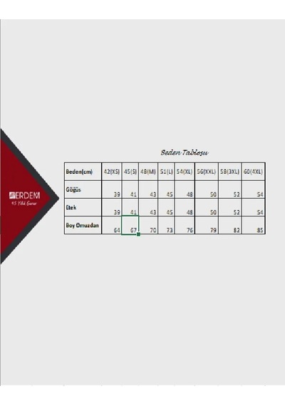 Erdem Erkek Ribana Kapalı Yaka Fanila Atlet 1197 - 6 Adet 001
