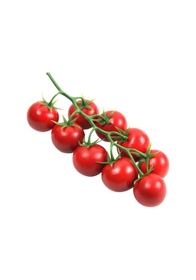 Nadir Ithal Pinpon Domates Tohumu Yetiştirme Kiti