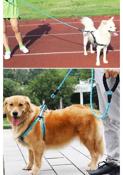 Buffer Reflektörlü Fosforlu Köpek Gezdirme Halatı Tasma Kayışı Metal Kancalı 130 CM Mavi
