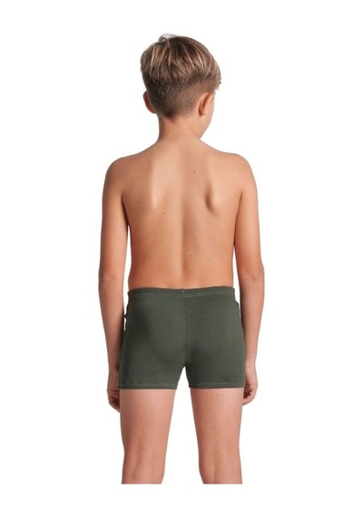 Arena Boys Poseıidonia Swim Short Erkek Çocuk Yüzücü Mayosu 009008306 Yeşil
