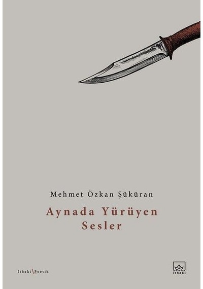 Aynada Yürüyen  Sesler