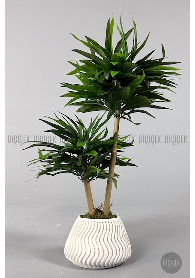 Yapay Bambu Ağacı 60cm Yoğun Yapraklı Spiral Saksıda Beyaz