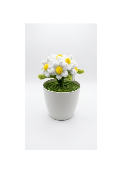 Şönil Beyaz Papatya Mini Saksı Minimal Beyaz - Sarı