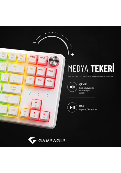 Dryo Rgb Mekanik Oyuncu Klavyesi Red Switch Anti-ghosting Multimedya Kontrol Kadranı Türkçe Q Kablolu Siyah