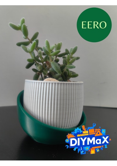 Eero Planter Saksı 8x8 Cm Dekoratif Modern Minimal Sukulent Saksı Beyaz - Yeşil