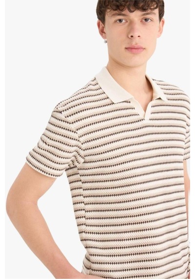 DeFacto Regular Fit Polo Yaka Çizgili Dokulu Kısa Kollu Tişört D7249AX25SPER85