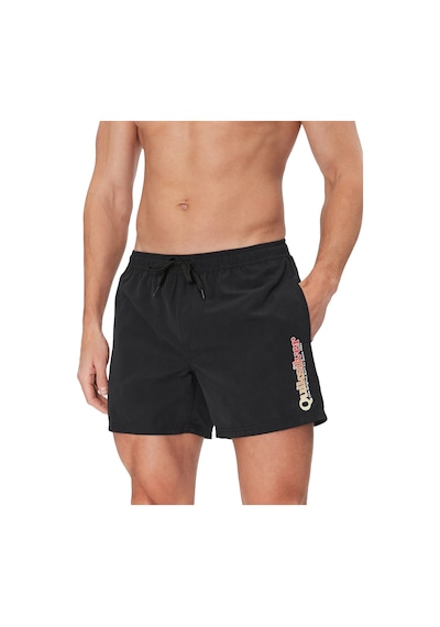 Quıksılver Quiksilver Spl Fineline Volley 15 Erkek Siyah Volley Short Kvj0 Siyah