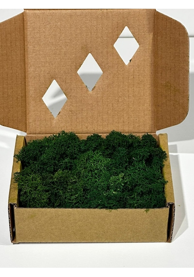 Reindermoss Şoklanmış Norveç Yosunu Terarium Yosunu Grass Green Light 100 Gr.