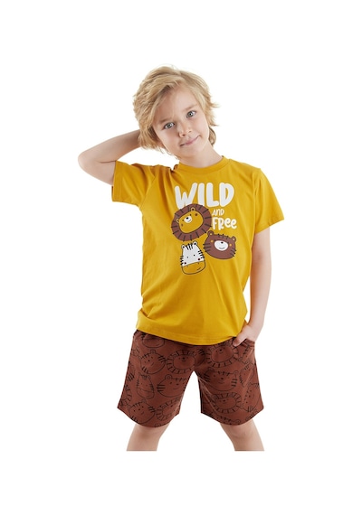 Denokids Wild Erkek Çocuk T-shirt Şort Takım Çok Renkli