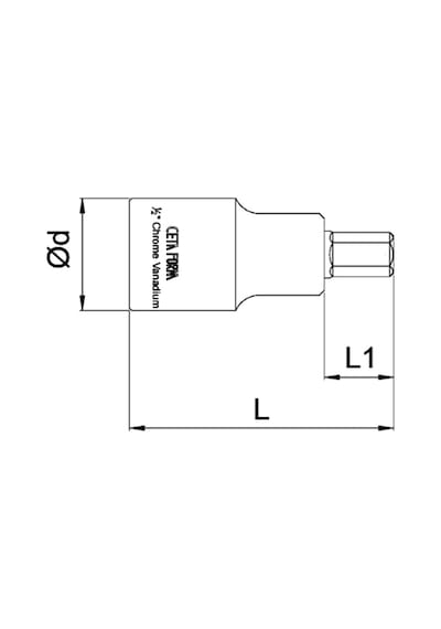Ceta Form 1/2" Allen Uçlu Lokma Kısa Tip - 10 X 55 Mm