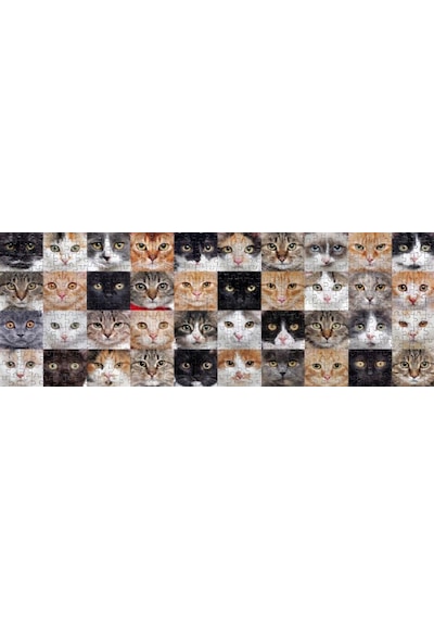 Nova Puzzle 1000 Parça Sevimli Kediler Kolajı Panorama Puzzle