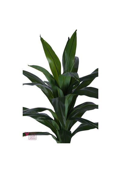 Yapay Çiçek Sitesi Metal Sütun Saksıda Yapay Egzotik Dracaena Ağacı 150 Cm Yeşil