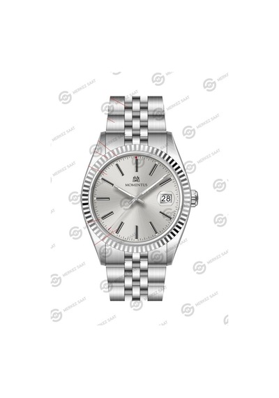 Momentus Men's Crown Master Cr251s-03ss Diğer