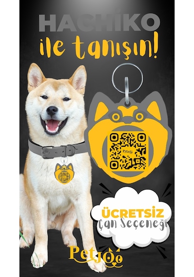 Petjoo 19.Hachiko Sarı-Gri Qr'lı Köpek Künyesi