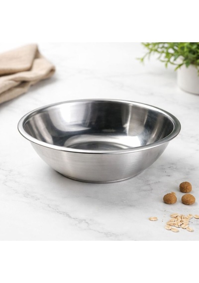 İsime Özel Yükseltilmiş Köpek Mama Kabı Paslanmaz Çelik Hazne, Ergonomik Tasarım