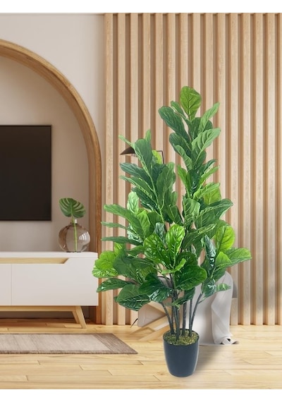 Yapay Ağaç Keman Yapraklı Kavuçuk Yeşil Salon Bitkisi Siyah Saksıda 140cm