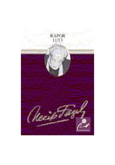 Rapor 11-13 (Kod 74) / Necip Fazıl Kısakürek 9789944144056