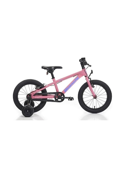 Bıanchı Xr16 Kız Çocuk Bisikleti 240h V 16 Jant Dı Pembe Mavi Çok Renkli