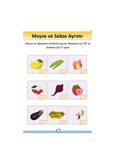 Okul Öncesi Fen ve Doğa Yaz-Sil Kitabı