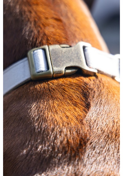 Hnrlıshp Beeztees Dbl Köpek Tasması, Kadife, Gri, 48-70cm, 25mm Çok Renkli