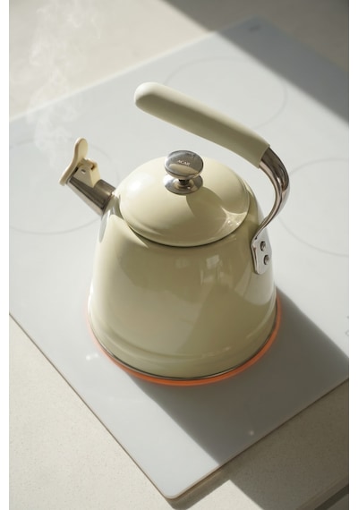 Teatime Paslanmaz Çelik Düdüklü Su Isıtıcısı Krem - 3 L Diğer